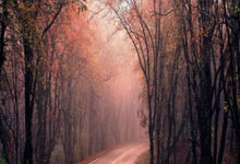 阿尔巴尼亚战胜安道尔，实力越发凸显