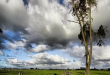 阿尔巴尼亚战胜安道尔，实力越发凸显