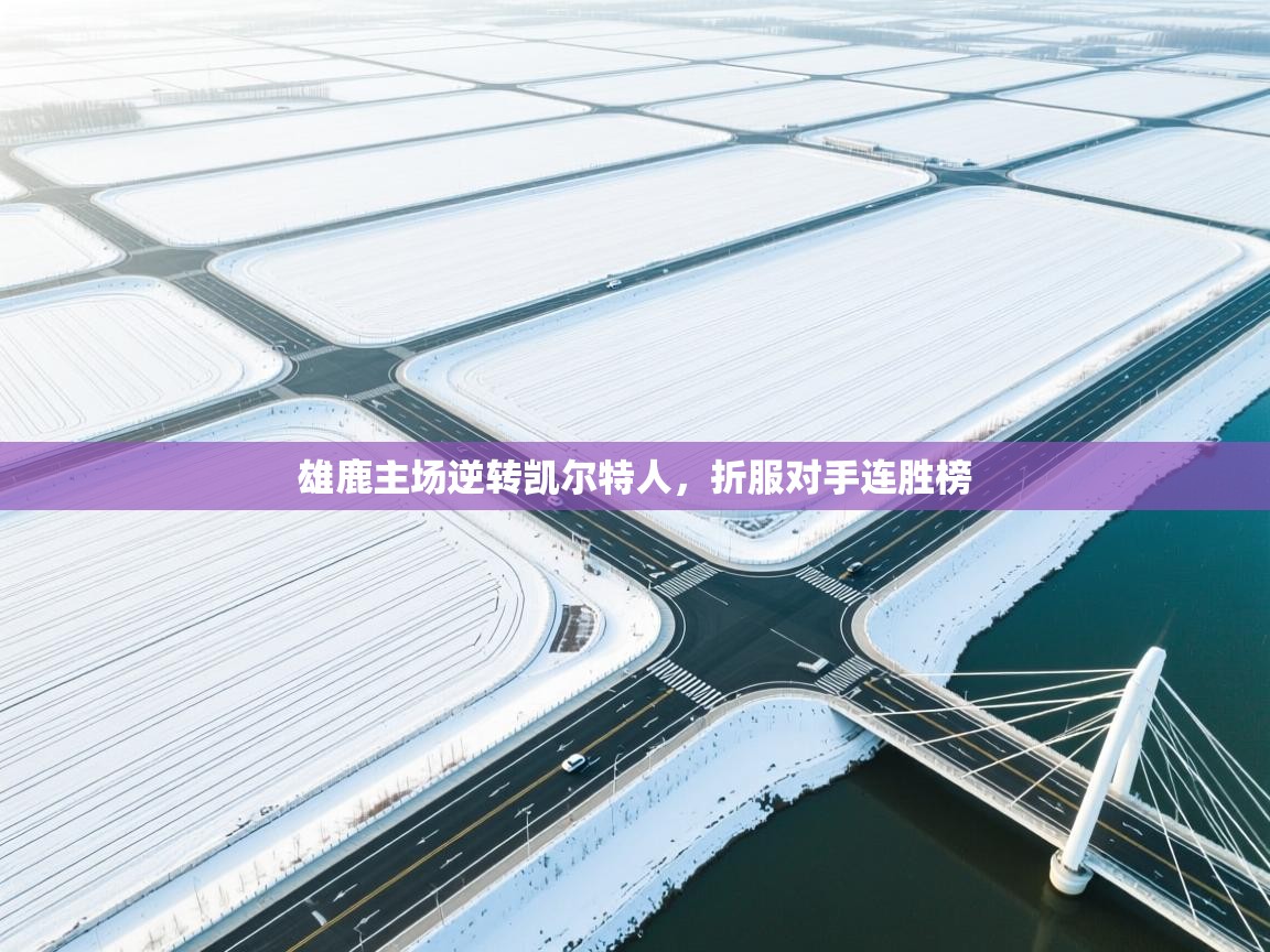 雄鹿主场逆转凯尔特人，折服对手连胜榜  第1张