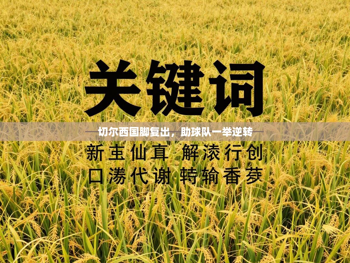 切尔西国脚复出，助球队一举逆转  第1张