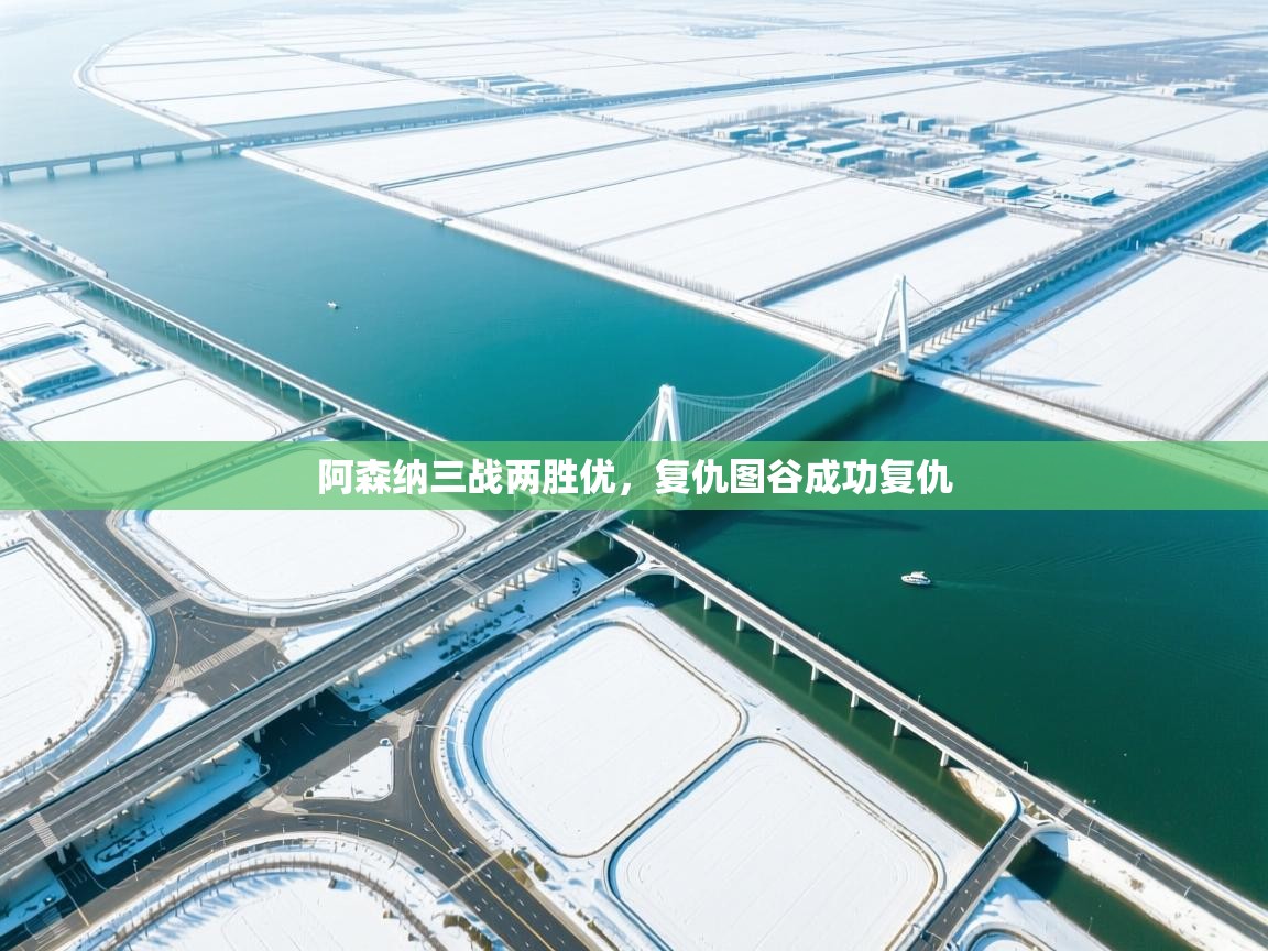 阿森纳三战两胜优,复仇图谷成功复仇 第2张